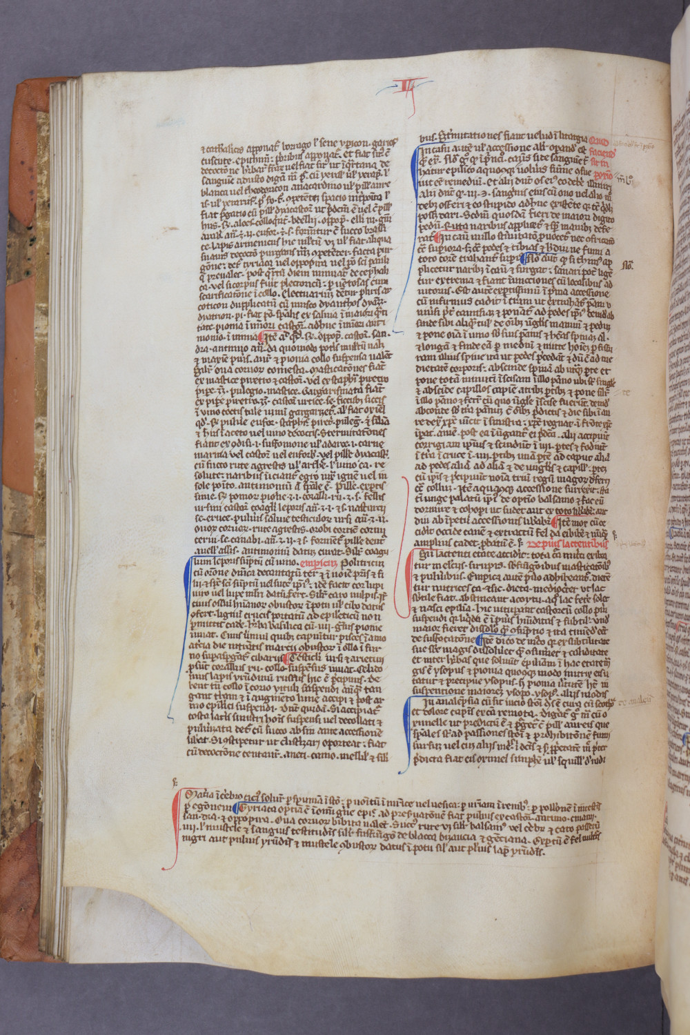 Folio 50 verso